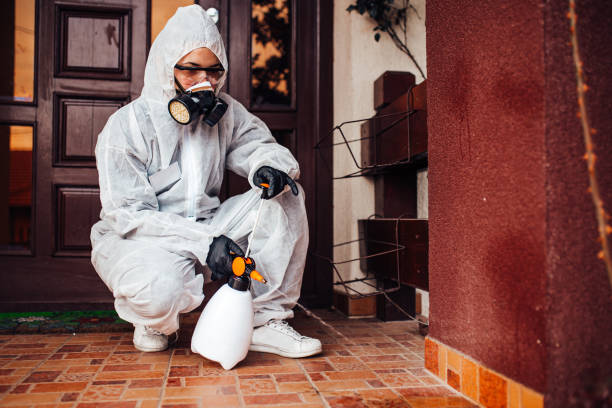 Reliable Mosquito Control contractor in Lyons, CO by Show Me Pest Control